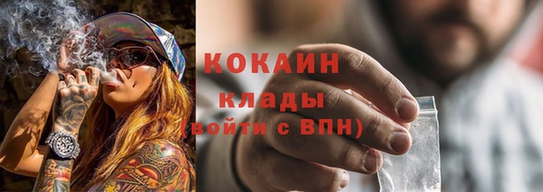 PSILOCYBIN Лиски