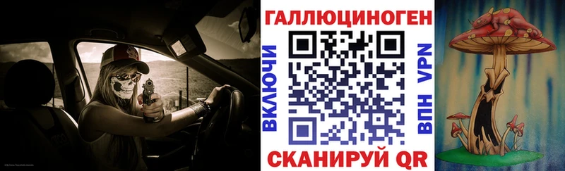 Галлюциногенные грибы мицелий  наркота  Терек 